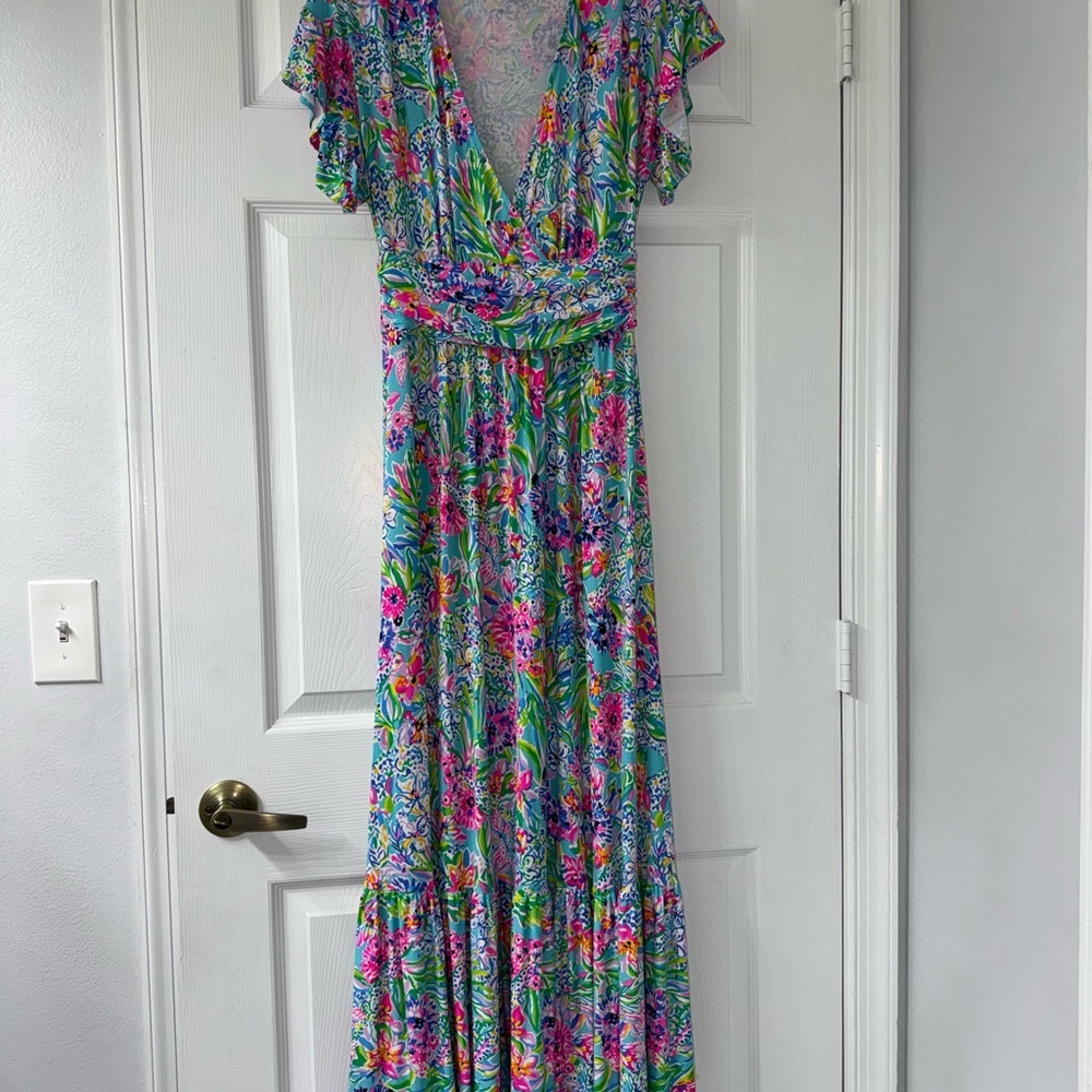 Lilly Pulitzer Maxi Dress! - Picture 5 of 8